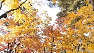 [392] Rikakodesu (Rikako Katayama aka katayama_rikako) OnlyFans Leaks your Enchanting Tokyo Japanese Muse