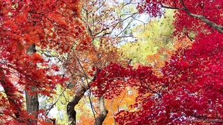 [393] Rikakodesu (Rikako Katayama aka katayama_rikako) OnlyFans Leaks your Enchanting Tokyo Japanese Muse