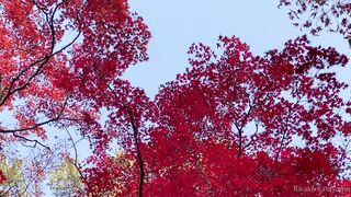 [393] Rikakodesu (Rikako Katayama aka katayama_rikako) OnlyFans Leaks your Enchanting Tokyo Japanese Muse