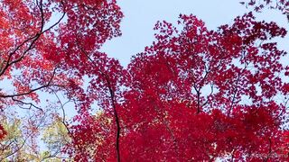 [393] Rikakodesu (Rikako Katayama aka katayama_rikako) OnlyFans Leaks your Enchanting Tokyo Japanese Muse