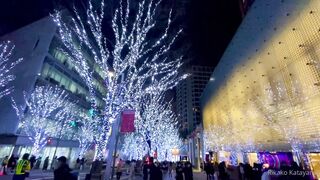 [404] Rikakodesu (Rikako Katayama aka katayama_rikako) OnlyFans Leaks your Enchanting Tokyo Japanese Muse