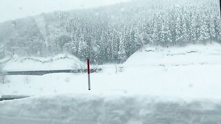 [445] Rikakodesu (Rikako Katayama aka katayama_rikako) OnlyFans Leaks your Enchanting Tokyo Japanese Muse