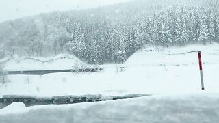 [445] Rikakodesu (Rikako Katayama aka katayama_rikako) OnlyFans Leaks your Enchanting Tokyo Japanese Muse