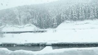 [445] Rikakodesu (Rikako Katayama aka katayama_rikako) OnlyFans Leaks your Enchanting Tokyo Japanese Muse