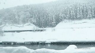 [445] Rikakodesu (Rikako Katayama aka katayama_rikako) OnlyFans Leaks your Enchanting Tokyo Japanese Muse