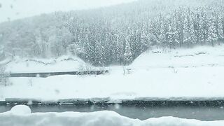 [445] Rikakodesu (Rikako Katayama aka katayama_rikako) OnlyFans Leaks your Enchanting Tokyo Japanese Muse