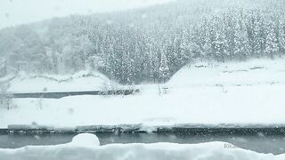 [445] Rikakodesu (Rikako Katayama aka katayama_rikako) OnlyFans Leaks your Enchanting Tokyo Japanese Muse