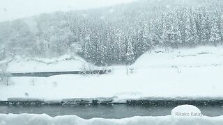 [445] Rikakodesu (Rikako Katayama aka katayama_rikako) OnlyFans Leaks your Enchanting Tokyo Japanese Muse