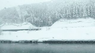 [445] Rikakodesu (Rikako Katayama aka katayama_rikako) OnlyFans Leaks your Enchanting Tokyo Japanese Muse