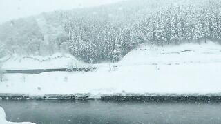 [445] Rikakodesu (Rikako Katayama aka katayama_rikako) OnlyFans Leaks your Enchanting Tokyo Japanese Muse