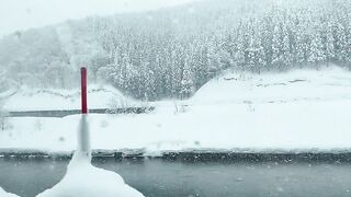 [445] Rikakodesu (Rikako Katayama aka katayama_rikako) OnlyFans Leaks your Enchanting Tokyo Japanese Muse