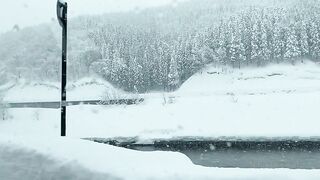 [445] Rikakodesu (Rikako Katayama aka katayama_rikako) OnlyFans Leaks your Enchanting Tokyo Japanese Muse