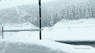 [445] Rikakodesu (Rikako Katayama aka katayama_rikako) OnlyFans Leaks your Enchanting Tokyo Japanese Muse