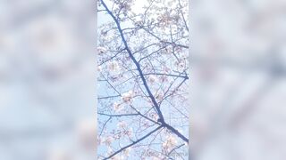 [460] Rikakodesu (Rikako Katayama aka katayama_rikako) OnlyFans Leaks your Enchanting Tokyo Japanese Muse