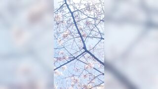 [460] Rikakodesu (Rikako Katayama aka katayama_rikako) OnlyFans Leaks your Enchanting Tokyo Japanese Muse