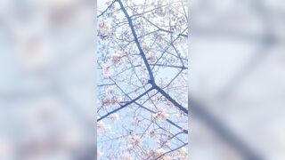 [460] Rikakodesu (Rikako Katayama aka katayama_rikako) OnlyFans Leaks your Enchanting Tokyo Japanese Muse