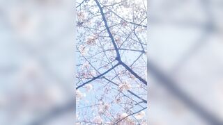 [460] Rikakodesu (Rikako Katayama aka katayama_rikako) OnlyFans Leaks your Enchanting Tokyo Japanese Muse