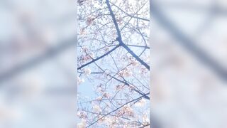 [460] Rikakodesu (Rikako Katayama aka katayama_rikako) OnlyFans Leaks your Enchanting Tokyo Japanese Muse