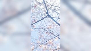 [460] Rikakodesu (Rikako Katayama aka katayama_rikako) OnlyFans Leaks your Enchanting Tokyo Japanese Muse