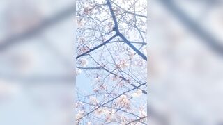 [460] Rikakodesu (Rikako Katayama aka katayama_rikako) OnlyFans Leaks your Enchanting Tokyo Japanese Muse