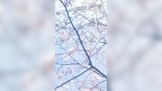 [460] Rikakodesu (Rikako Katayama aka katayama_rikako) OnlyFans Leaks your Enchanting Tokyo Japanese Muse