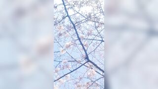 [460] Rikakodesu (Rikako Katayama aka katayama_rikako) OnlyFans Leaks your Enchanting Tokyo Japanese Muse