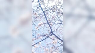 [460] Rikakodesu (Rikako Katayama aka katayama_rikako) OnlyFans Leaks your Enchanting Tokyo Japanese Muse