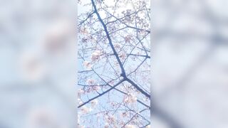 [460] Rikakodesu (Rikako Katayama aka katayama_rikako) OnlyFans Leaks your Enchanting Tokyo Japanese Muse