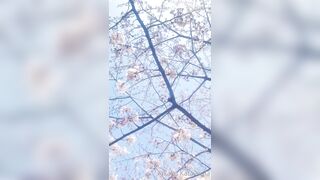 [460] Rikakodesu (Rikako Katayama aka katayama_rikako) OnlyFans Leaks your Enchanting Tokyo Japanese Muse