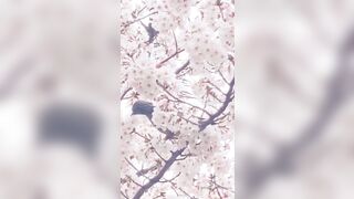 [462] Rikakodesu (Rikako Katayama aka katayama_rikako) OnlyFans Leaks your Enchanting Tokyo Japanese Muse