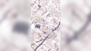 [462] Rikakodesu (Rikako Katayama aka katayama_rikako) OnlyFans Leaks your Enchanting Tokyo Japanese Muse