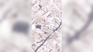 [462] Rikakodesu (Rikako Katayama aka katayama_rikako) OnlyFans Leaks your Enchanting Tokyo Japanese Muse