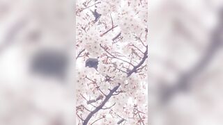 [462] Rikakodesu (Rikako Katayama aka katayama_rikako) OnlyFans Leaks your Enchanting Tokyo Japanese Muse