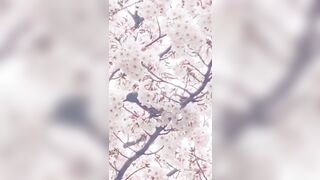 [462] Rikakodesu (Rikako Katayama aka katayama_rikako) OnlyFans Leaks your Enchanting Tokyo Japanese Muse