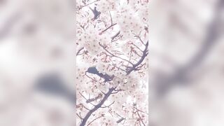 [462] Rikakodesu (Rikako Katayama aka katayama_rikako) OnlyFans Leaks your Enchanting Tokyo Japanese Muse