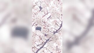 [462] Rikakodesu (Rikako Katayama aka katayama_rikako) OnlyFans Leaks your Enchanting Tokyo Japanese Muse