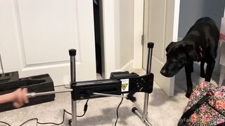 [427 of 681 Videos] Livvalittle (ivfitpdx aka Livv Fitt & Fitdonk aka livvfitcheeks) OnlyFans Leaks The Girl Next Door Porn