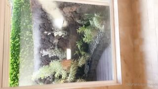 [476 of 681 Videos] Livvalittle (ivfitpdx aka Livv Fitt & Fitdonk aka livvfitcheeks) OnlyFans Leaks The Girl Next Door Porn