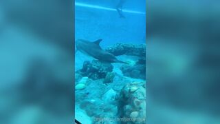 [42 of 72 Videos] Jacomaco (jagkoleen aka jacomaco69) OnlyFans Leaks Taiwanese Asian Chinese Hot Babe