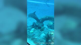 [42 of 72 Videos] Jacomaco (jagkoleen aka jacomaco69) OnlyFans Leaks Taiwanese Asian Chinese Hot Babe