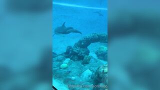 [42 of 72 Videos] Jacomaco (jagkoleen aka jacomaco69) OnlyFans Leaks Taiwanese Asian Chinese Hot Babe