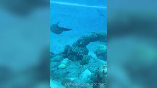 [42 of 72 Videos] Jacomaco (jagkoleen aka jacomaco69) OnlyFans Leaks Taiwanese Asian Chinese Hot Babe