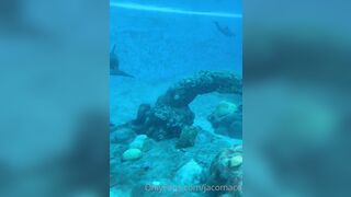 [42 of 72 Videos] Jacomaco (jagkoleen aka jacomaco69) OnlyFans Leaks Taiwanese Asian Chinese Hot Babe