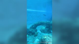 [42 of 72 Videos] Jacomaco (jagkoleen aka jacomaco69) OnlyFans Leaks Taiwanese Asian Chinese Hot Babe