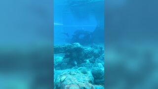 [42 of 72 Videos] Jacomaco (jagkoleen aka jacomaco69) OnlyFans Leaks Taiwanese Asian Chinese Hot Babe