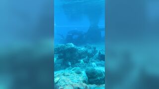 [42 of 72 Videos] Jacomaco (jagkoleen aka jacomaco69) OnlyFans Leaks Taiwanese Asian Chinese Hot Babe