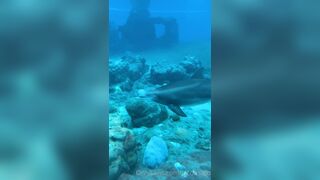 [42 of 72 Videos] Jacomaco (jagkoleen aka jacomaco69) OnlyFans Leaks Taiwanese Asian Chinese Hot Babe