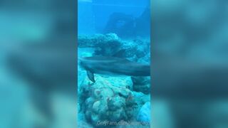 [42 of 72 Videos] Jacomaco (jagkoleen aka jacomaco69) OnlyFans Leaks Taiwanese Asian Chinese Hot Babe