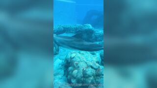 [42 of 72 Videos] Jacomaco (jagkoleen aka jacomaco69) OnlyFans Leaks Taiwanese Asian Chinese Hot Babe