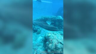 [42 of 72 Videos] Jacomaco (jagkoleen aka jacomaco69) OnlyFans Leaks Taiwanese Asian Chinese Hot Babe